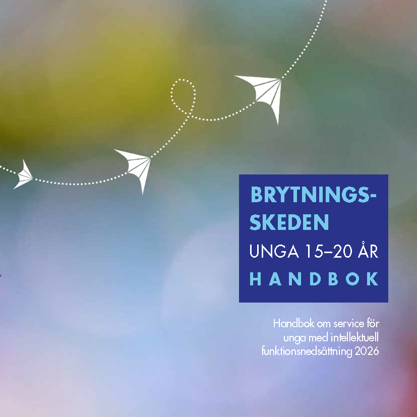 Handbok om service för unga.