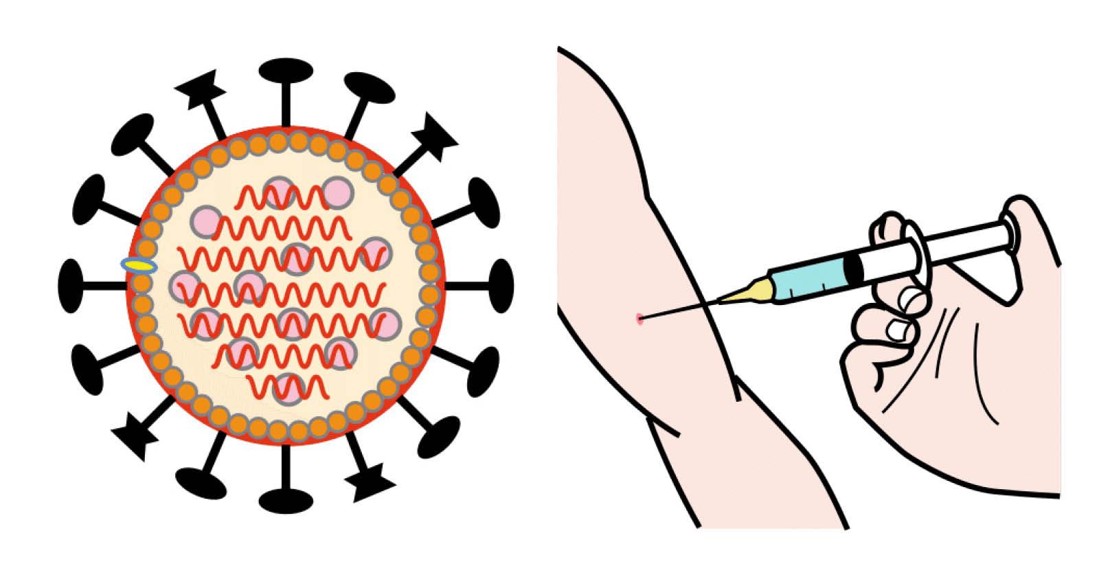 Symbolbilder på coronaviruset och vaccinering.