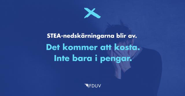 STEA-nedskärningarna blir av. Det kommer att kosta. Inte bara i pengar.